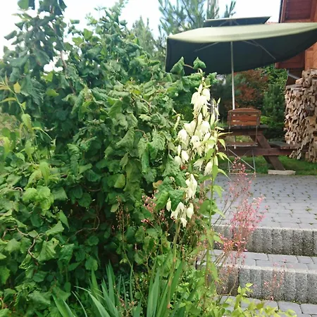 查奇德拉奇旅馆 假日公园 *