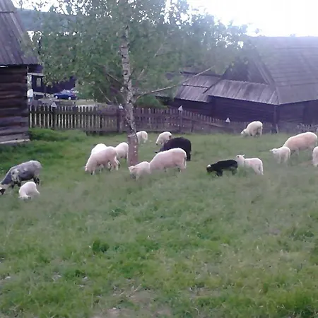 Semesterpark Chatki Qdlatki