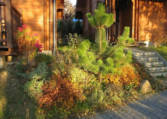 Chatki Qdlatki Kluszkowce