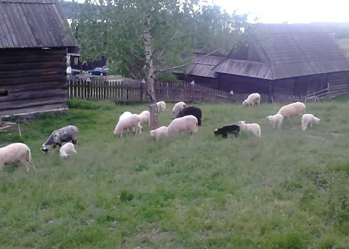 Tatil parkı Chatki Qdlatki